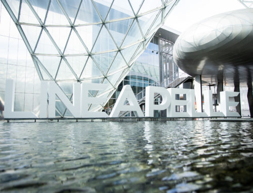 LINEAPELLE Febbraio/Settembre  2025